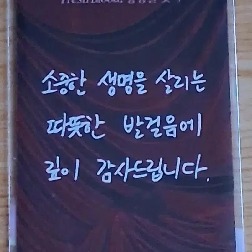 [BUNJANG] Dracula Blood Donation Message Photocard / 드라큘라 헌혈 메세지 포토카드