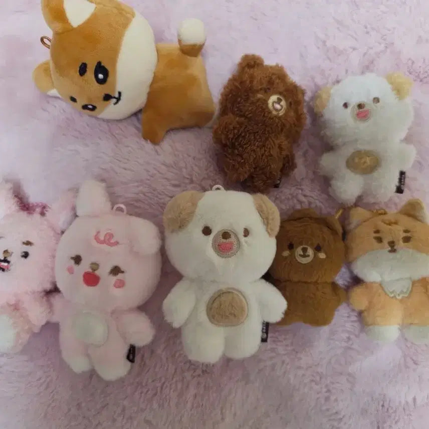 [BUNJANG] Day6 Petit Merz Buddy Merz Dani Merz Doll Bundle Set / 데이식스 쁘띠멀즈 쁘쁘멀 데니멀즈 인형 일괄양도