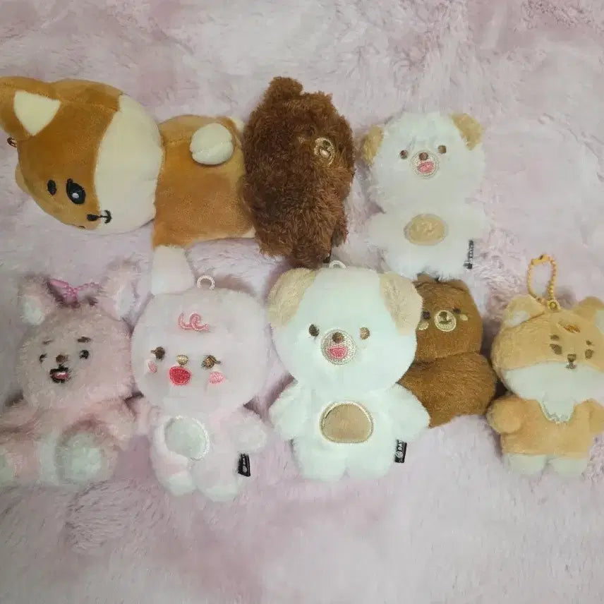 [BUNJANG] Day6 Petit Merz Buddy Merz Dani Merz Doll Bundle Set / 데이식스 쁘띠멀즈 쁘쁘멀 데니멀즈 인형 일괄양도
