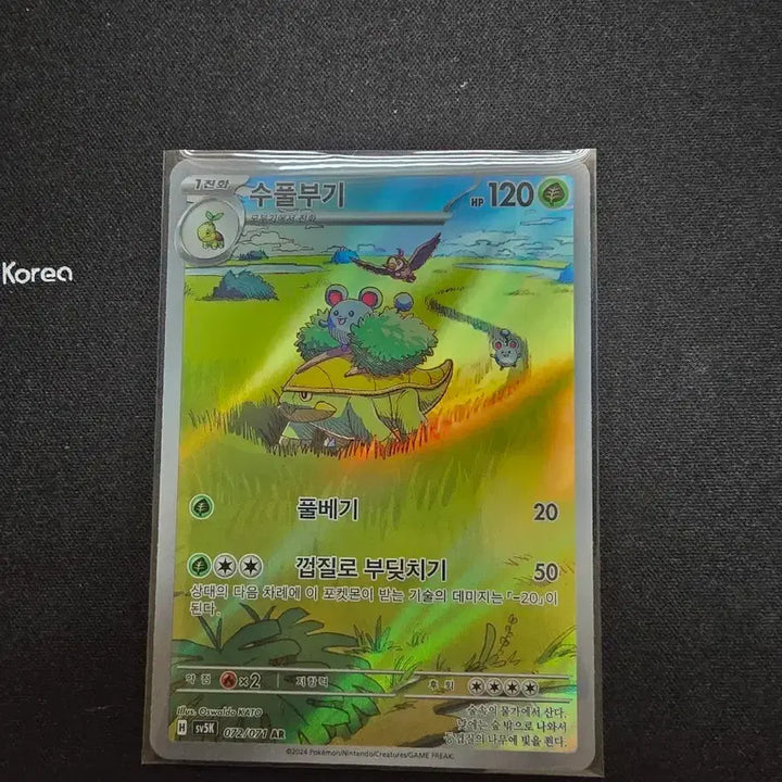 [BUNJANG] Pokemon Turtwig AR Card (S-Grade) / 포켓몬스터 수풀부기 AR 카드 (S급)