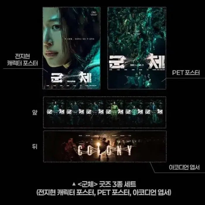 [BUNJANG] Jun Ji Hyun Set of 3 Accordion Postcard Goods (POB) / 3개 세트) 군체 전지현 pet 포스터 아코디언 엽서 굿즈 특전