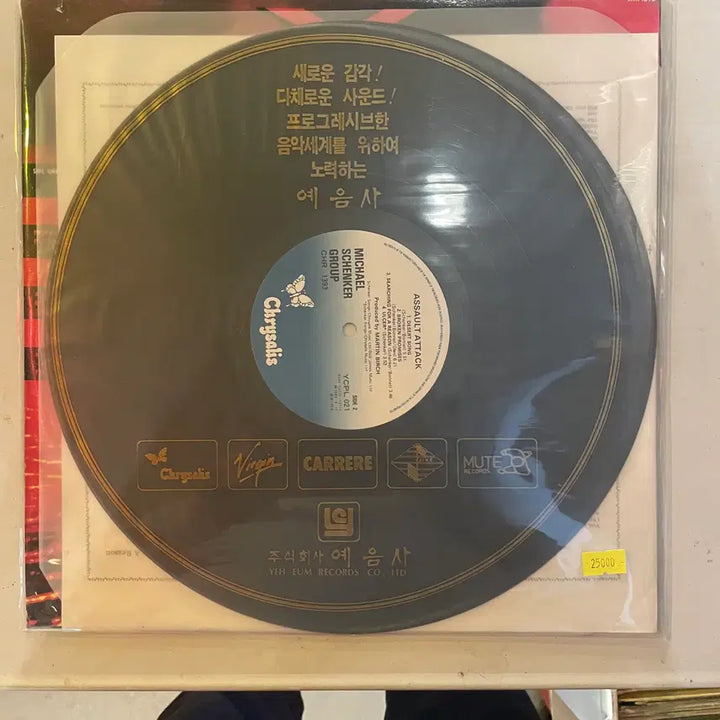 [BUNJANG] Rare 1990s LP Records (Wingard, MSG, etc.) / 잉위망스턴, 윙어 MSG등  1990년대 희귀판 LP / 개별가격