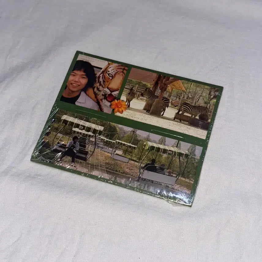 [BUNJANG] MUDTHESTUDENT Field Trip Mini Album CD (Sealed) / 머드더스튜던트 필드트립 field trip 미니 앨범 cd 미개봉