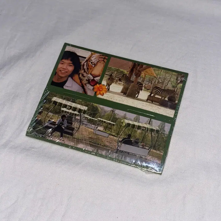 [BUNJANG] MUDTHESTUDENT Field Trip Mini Album CD (Sealed) / 머드더스튜던트 필드트립 field trip 미니 앨범 cd 미개봉
