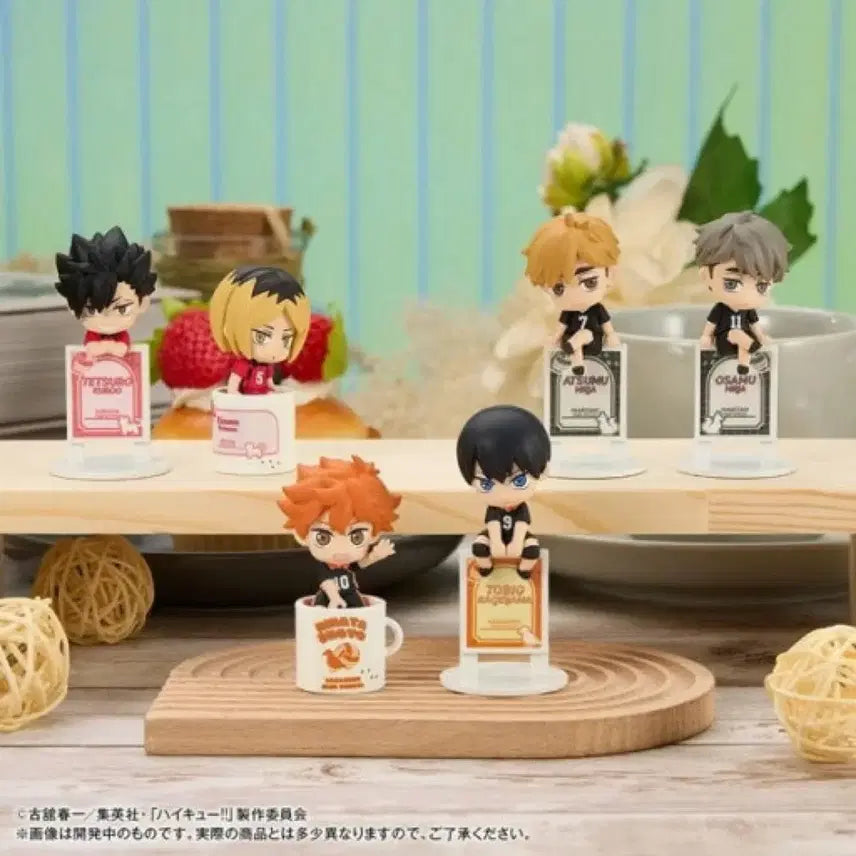 [BUNJANG] Haikyu!! Ochamo Figure Full Box Sealed / [미개봉] 하이큐 오챠토모 풀박스 팝니다