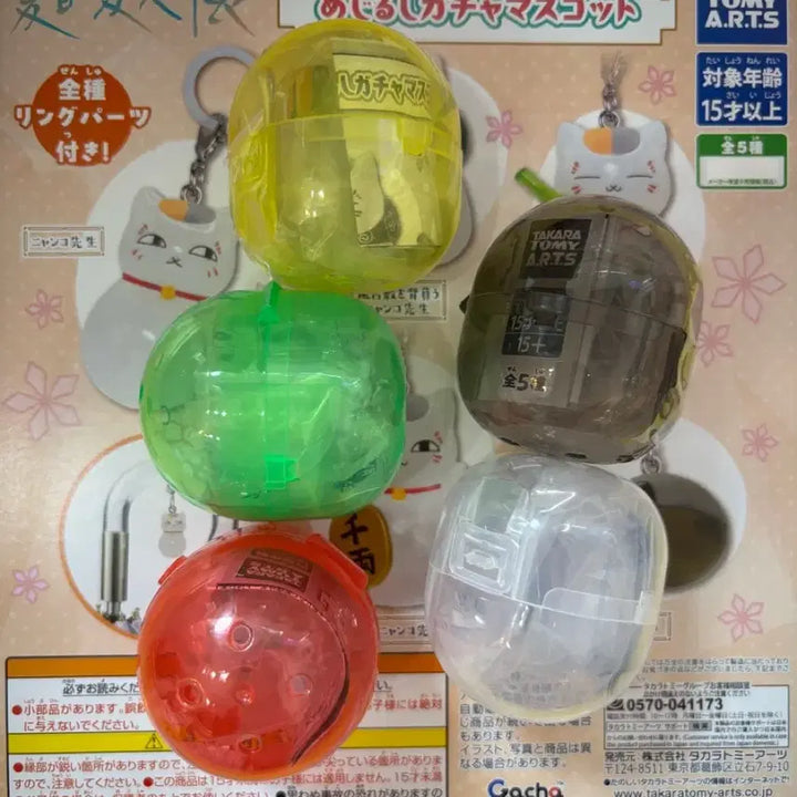 [BUNJANG] Natsume&