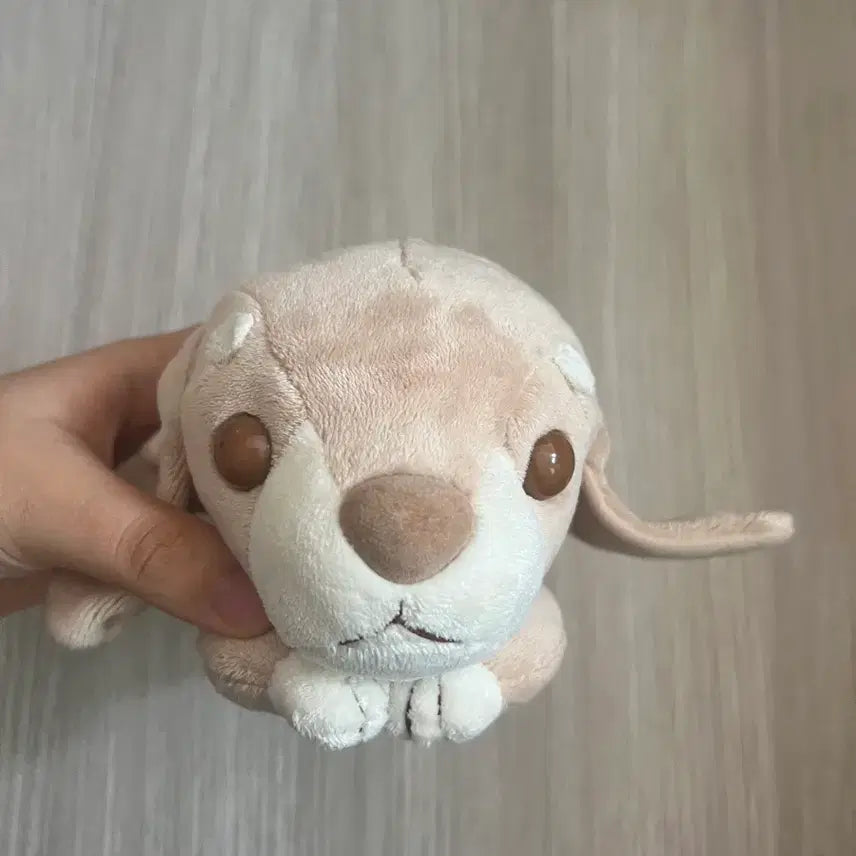 [BUNJANG] Shinada Dachshund Dog Plush Vintage Japanese Doll / 시나다 닥수훈트 강아지 인형 빈티지 일본 인형