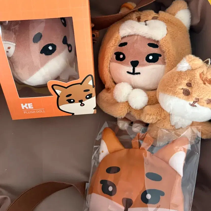 [BUNJANG] Day6 DayAnimals PetitMals K-Pop Reversible Basket Bag Bundle Set / 일괄)데이식스 데니멀즈 쁘띠멀즈 케 장바구니 영케이 쁘멀 데멀 day6