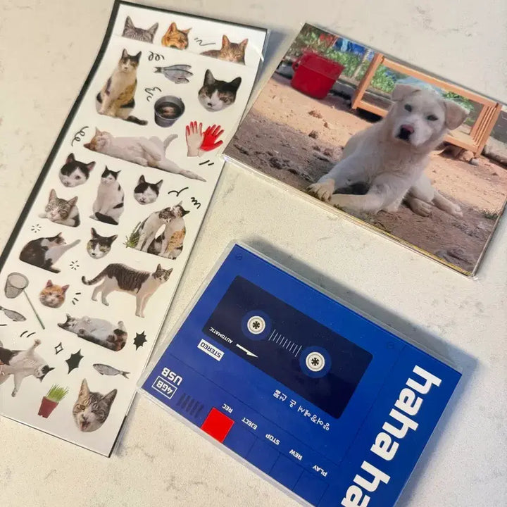 [BUNJANG] HahaHaha USB, Photo, Sticker Set / 하하하 USB(믹스테이프), 사진, 스티커