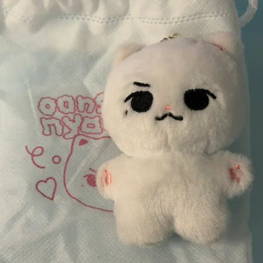 [BUNJANG] TXT Yeonjun Muse Doll Woongnyangjun Kiring / 투바투 연준 인형 뮤즈 홈마 웅냥쭌 황춘이 키링 투모로우바이투게더