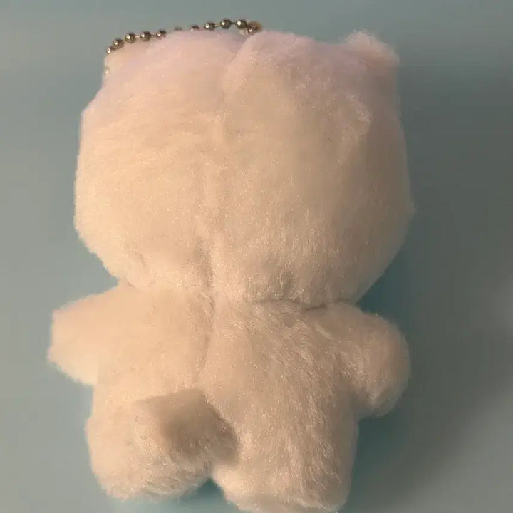 [BUNJANG] TXT Yeonjun Muse Doll Woongnyangjun Kiring / 투바투 연준 인형 뮤즈 홈마 웅냥쭌 황춘이 키링 투모로우바이투게더