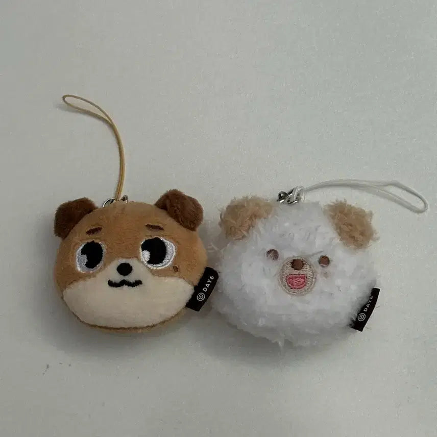 [BUNJANG] Day6 "Do Not Sleep" Face Keyring Bundle Set / 데이식스 페이스키링 돈, 쁘돈