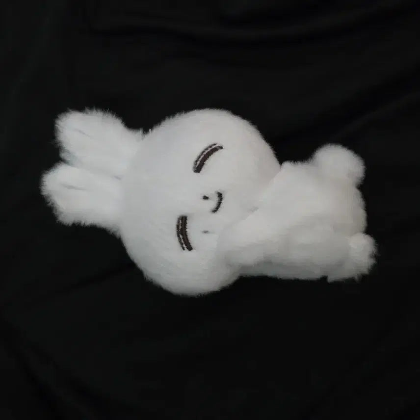 [BUNJANG] Seventeen Jeonghan Nupjong Doll / 세븐틴 정한 인형 눕쫑 양도