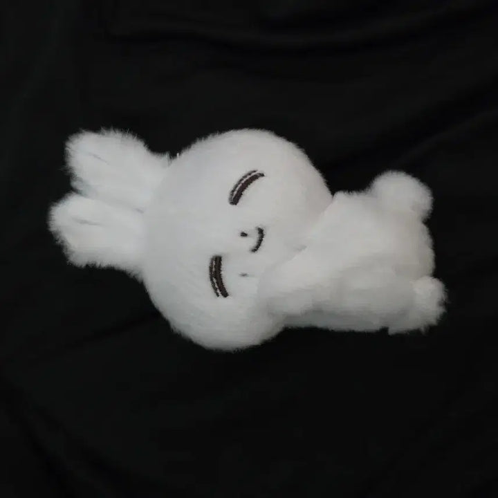 [BUNJANG] Seventeen Jeonghan Nupjong Doll / 세븐틴 정한 인형 눕쫑 양도
