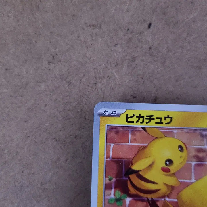 [BUNJANG] Pikachu Cyber Judge Illustration Japanese Edition Pokemon Card / 빤히 쳐다보는 피카츄 사이버 저지 포켓몬카드 일본판 일판