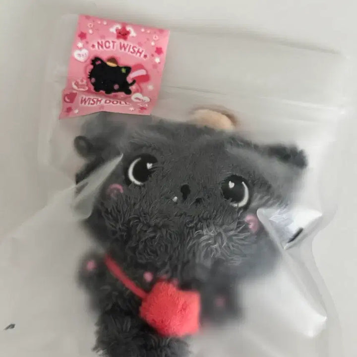 [BUNJANG] Kuri Wishdoll / 쿠리 ( 위시돌 )