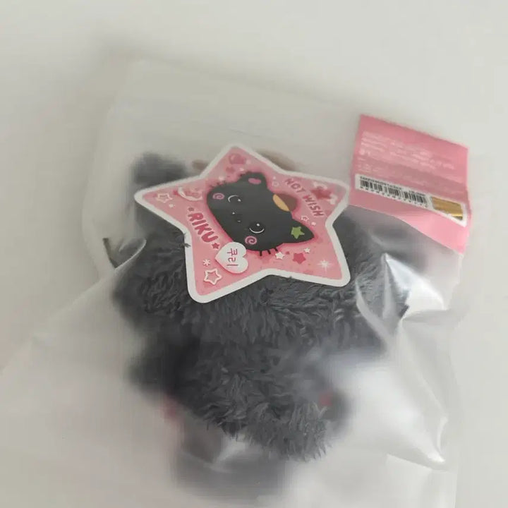 [BUNJANG] Kuri Wishdoll / 쿠리 ( 위시돌 )