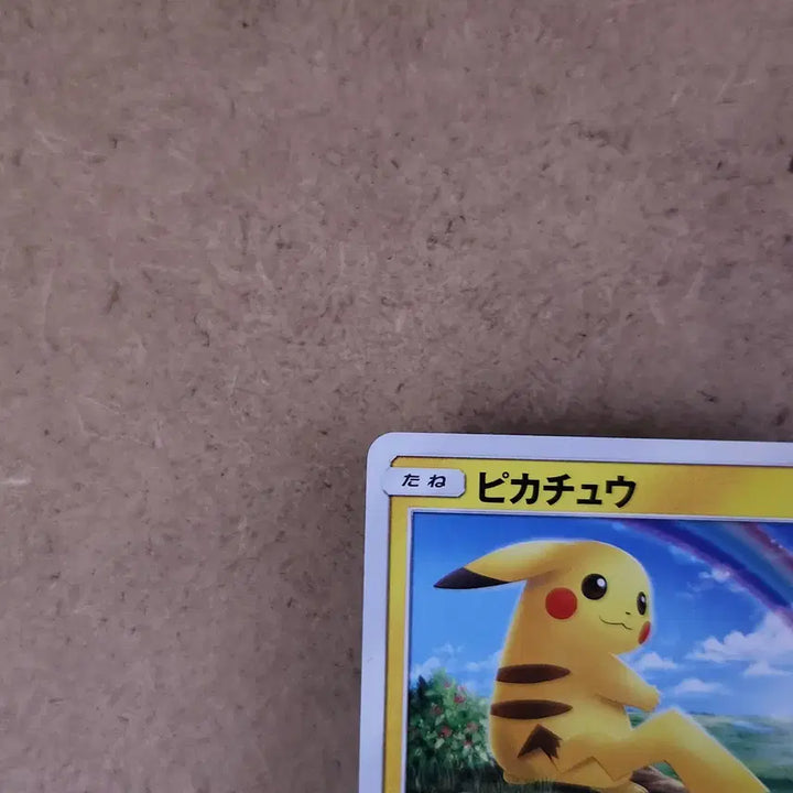 [BUNJANG] Pikachu Start Deck Japanese Pokemon Card Rainbow Field Background / 무지개와 들판 배경의 피카츄 스타트덱 포켓몬카드 일본판 일판