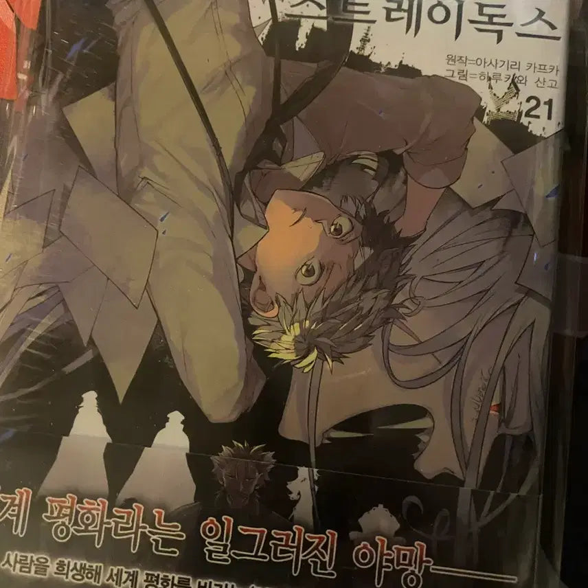 [BUNJANG] Bungo Stray Dogs Volume 21 First Edition / 미개봉 초판) 문스독 문호 스트레이독스 21권