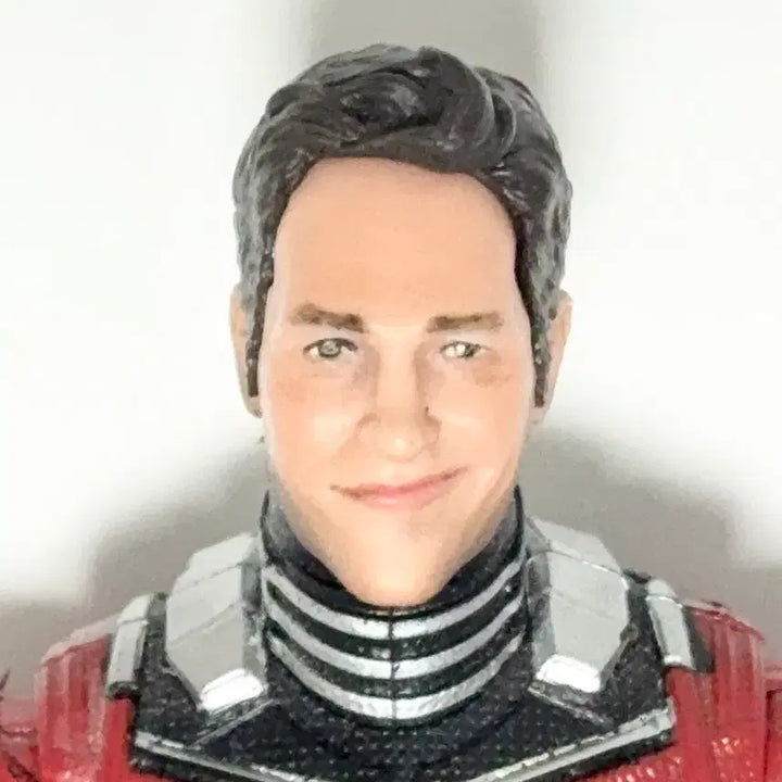 [BUNJANG] Marvel Legends Ant-Man &amp; Wasp Bundle / 마블레전드 앤트맨 + 와스프 일괄