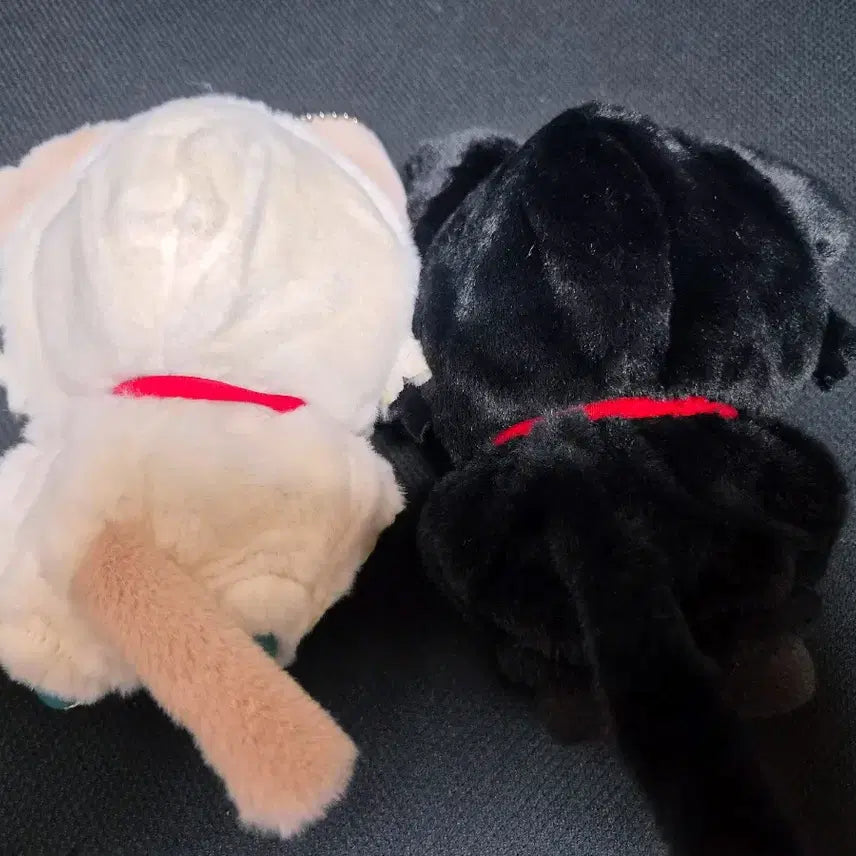 [BUNJANG] Love and Deep Space Nui Cat Costume Bundle (10cm/13cm) / 누이 고양이 인형 인형옷 의상 양도 판매 10cm