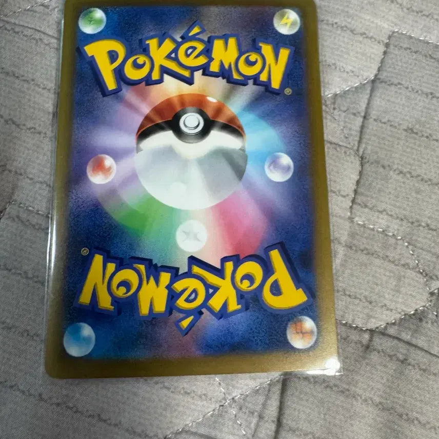 [BUNJANG] Pokemon Card Groudon AR Japanese / 포켓몬카드 가이오가ar 일판