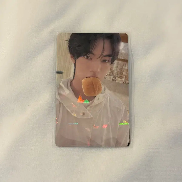 [BUNJANG] TWS Dohoon Weverse Japan SODASODA Photocard / 투어스 도훈 위버스 재팬 소다소다 포카 SODASODA 특전 포토카드