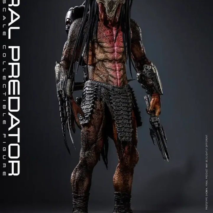 [BUNJANG] Hot Toys TMS114 Prey Predator 1/6 Scale Figure / 핫토이 - TMS114 프레이 페럴 프레데터