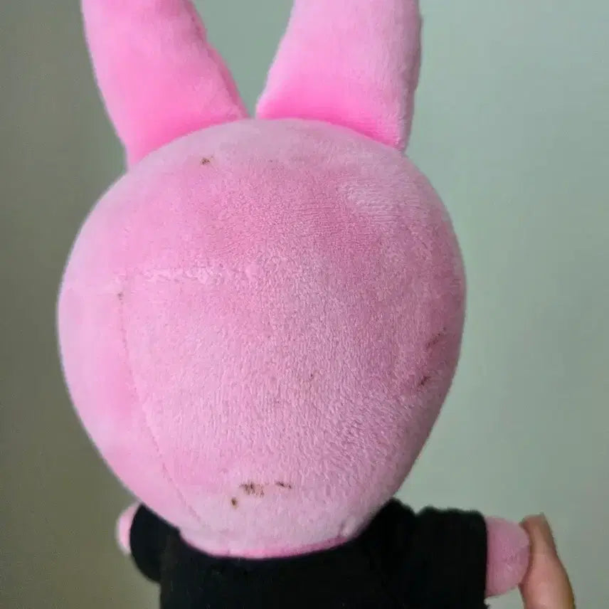 [BUNJANG] Ski Zhu Piglet Plush Toy / 스키주 돼끼