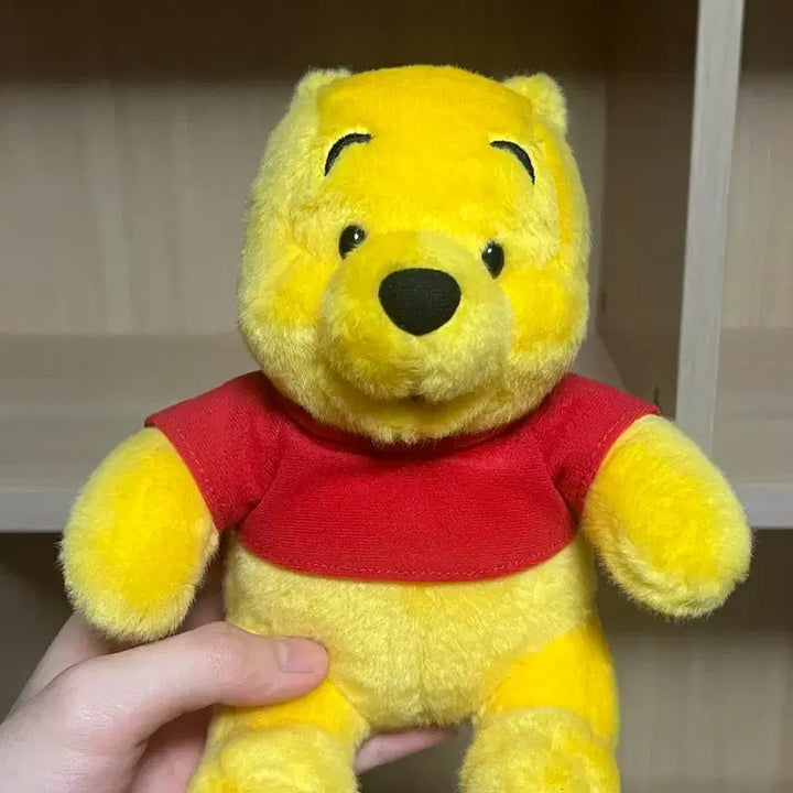 [BUNJANG] Disney Parks Winnie the Pooh &amp; Tigger Plush Set / 도쿄디즈니랜드 곰돌이 푸, 티거 인형 세트