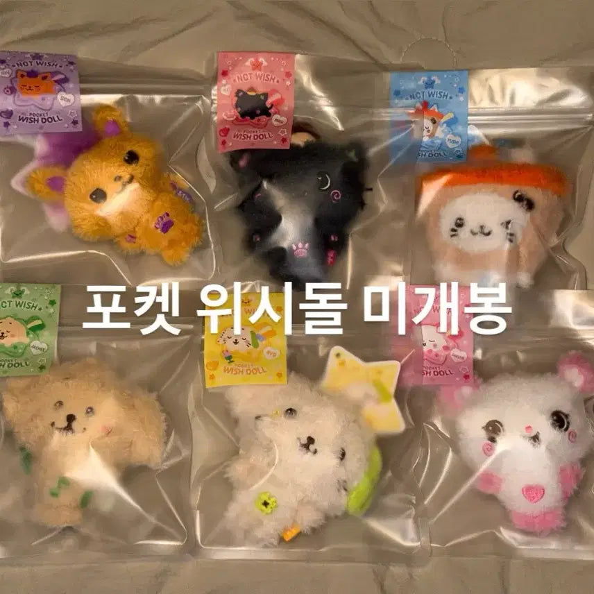 [BUNJANG] NCT WISH Pocket Wish Doll 6-Piece Bundle Set (Sioning, Kuri, Bubble Nyeong, Daeng Treever, Ryun Ryun, Pangyi) Sealed / [미개봉] 엔시티위시 포켓위시돌 6종 일괄 세트 (시오닝, 쿠리, 버블냥, 댕트리버, 룐룐, 팡이) 포켓돌 위시돌 양도