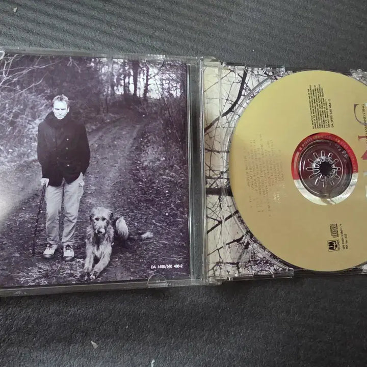 [BUNJANG] Sting Mercury Falling CD / 스팅 머큐리 폴링 CD