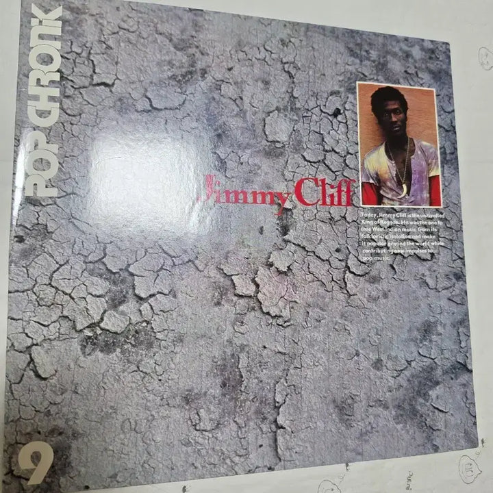 [BUNJANG] Jimmy Cliff 2LP Original Pressing Pop Reggae Music Album / JIMMY CLIFF 2LP 원반 팝 크로닉 레게 음악가