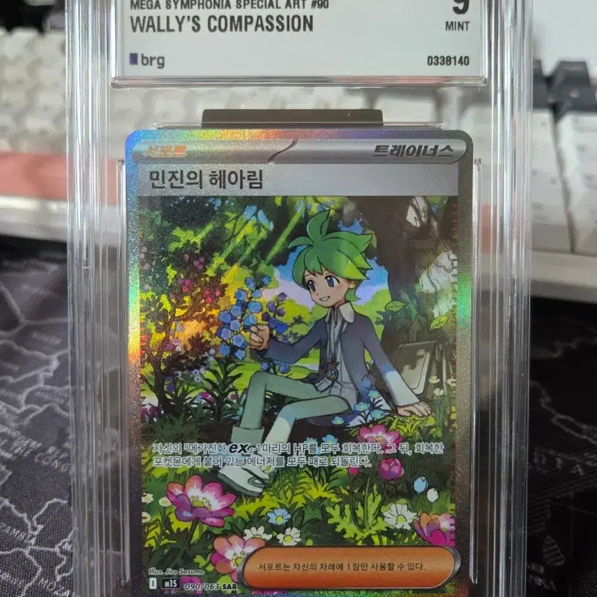 [BUNJANG] 2025 Pokemon Card Wally&
