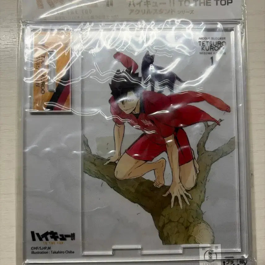 [BUNJANG] Haikyuu!! Tetsuro Kuroo Barefoot Acrylic Stand / 급전)하이큐 쿠로오 테츠로 맨발 아크릴 스탠드
