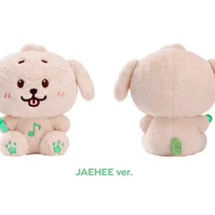 [BUNJANG] NCT WISH 30cm Daengtreever Doll / 엔시티위시 30cm 댕트리버