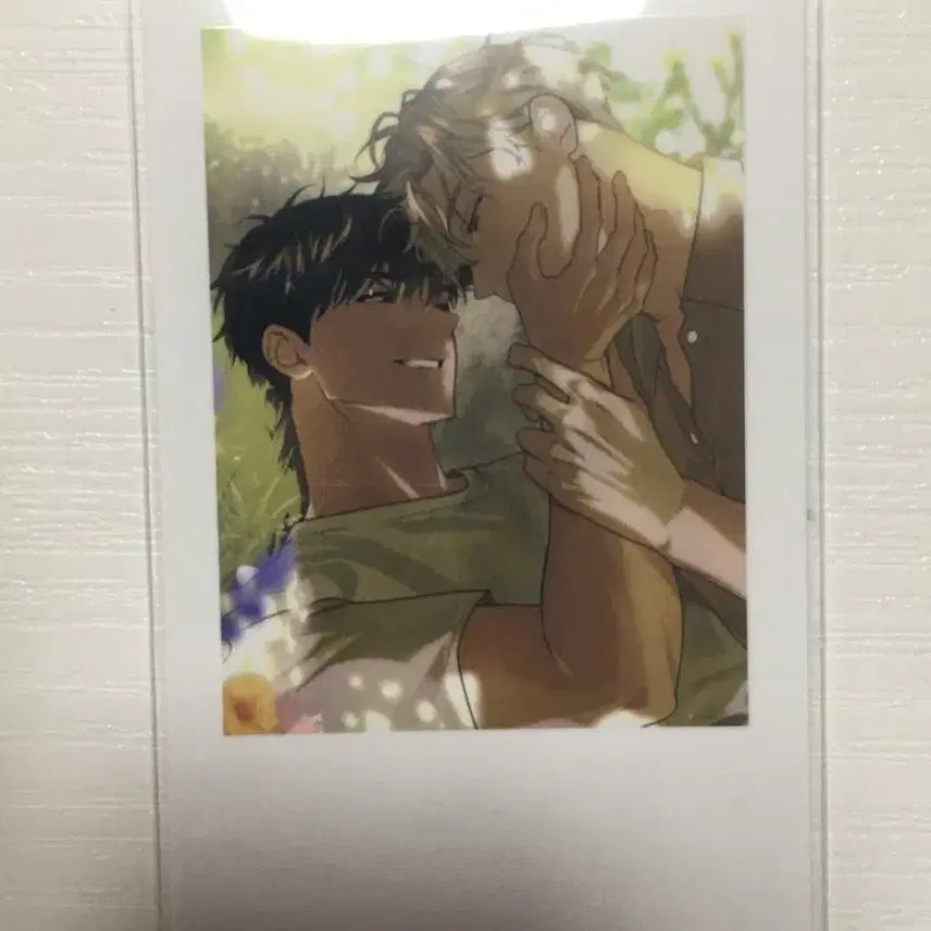 [BUNJANG] Noxctia Fashion Ilay Taei Polaroid / 녹티아 패션 일레이 태이 일태 폴라로이드