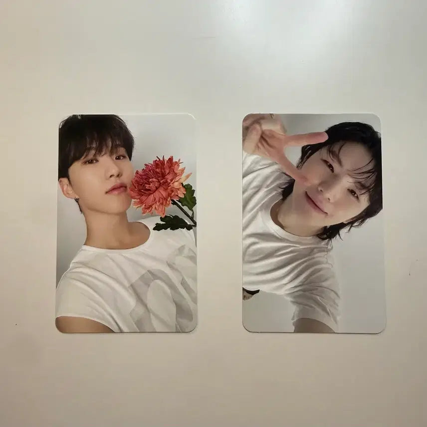 [BUNJANG] SEVENTEEN Best Album 17 IS RIGHT HERE HERE Version Photocard Set (Wonwoo, The8, Woozi, Hoshi) / 세븐틴 베스트앨범17 IS RIGHT HERE 히어버전 풀셋(원우,디에잇,우지,호시포카)