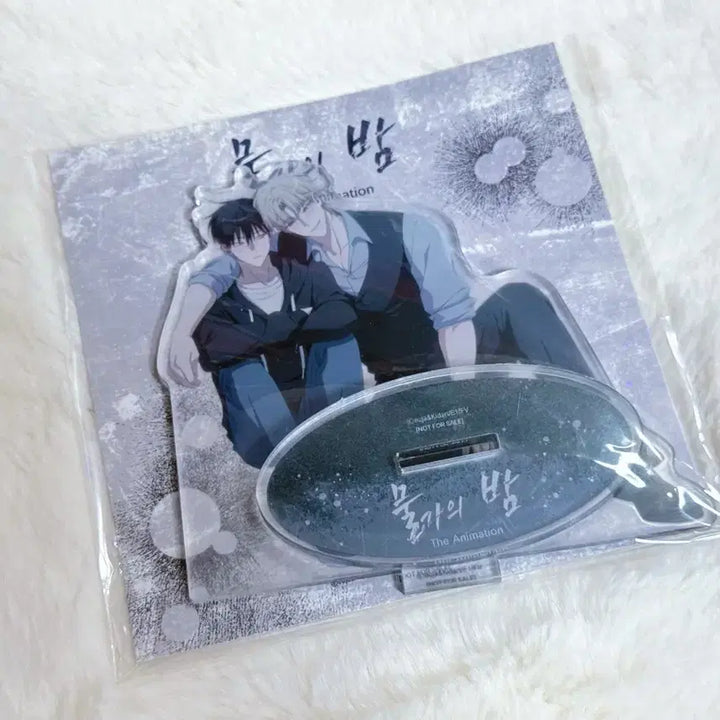 [BUNJANG] The Night of the Sea Animation Goods Acrylic Stand / 물가의 밤 애니플러스 아크릴