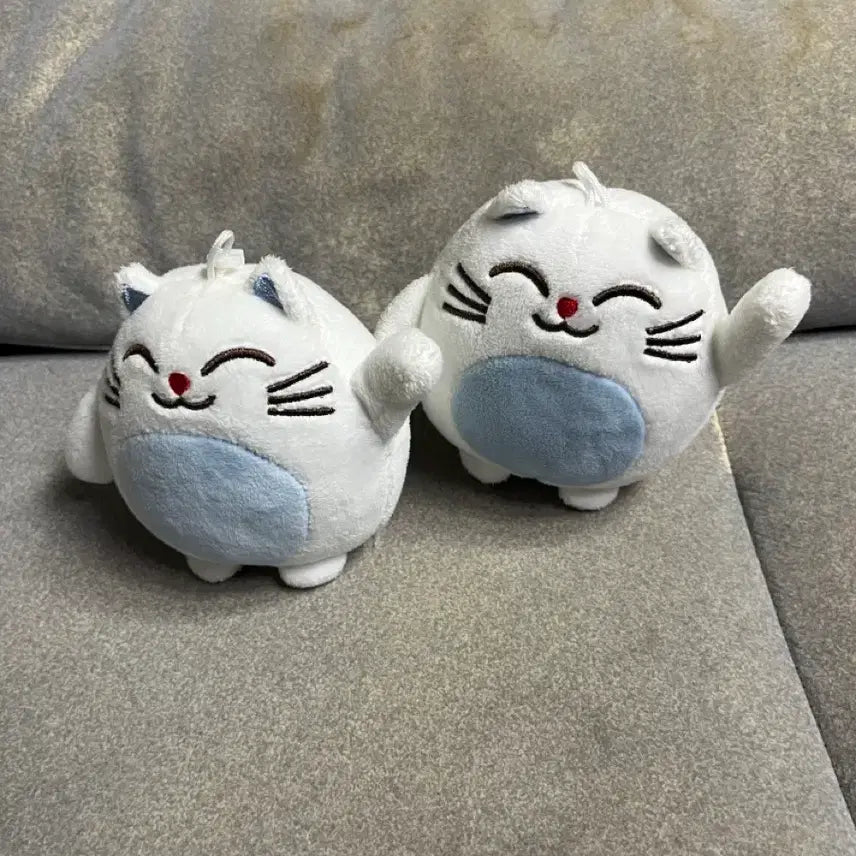[BUNJANG] Cute Cat Plush Dolls (Set of 3) / 고양이 인형