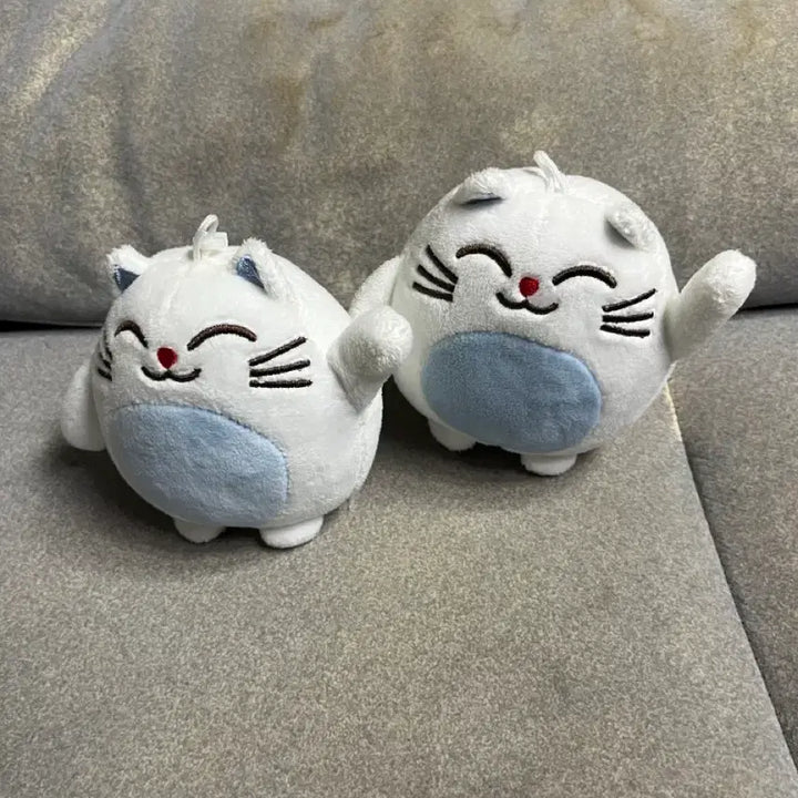 [BUNJANG] Cute Cat Plush Dolls (Set of 3) / 고양이 인형