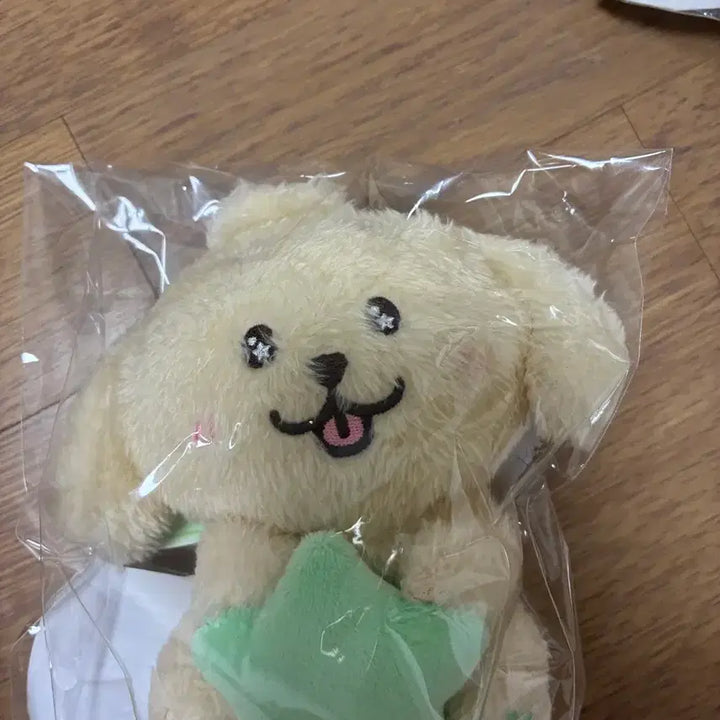 [BUNJANG] NCT WISH Star Wish Doll Doggo / 엔시티위시 스타위시돌 댕트리버