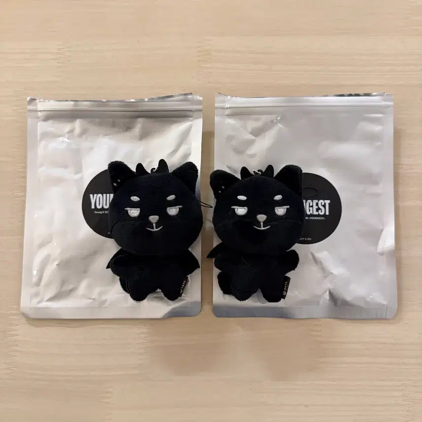 [BUNJANG] DAY6 Young K Secret Keychain / 영기스트 영케이 시크릿 키링