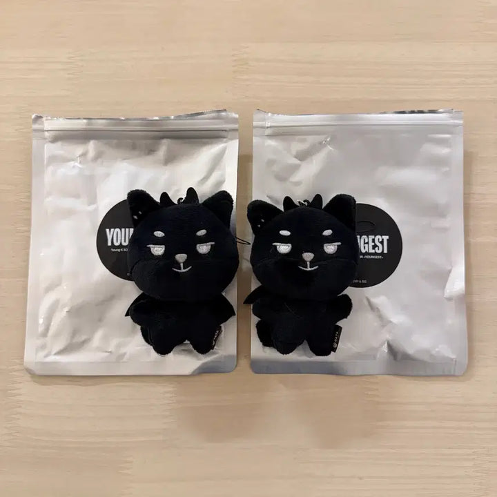 [BUNJANG] DAY6 Young K Secret Keychain / 영기스트 영케이 시크릿 키링