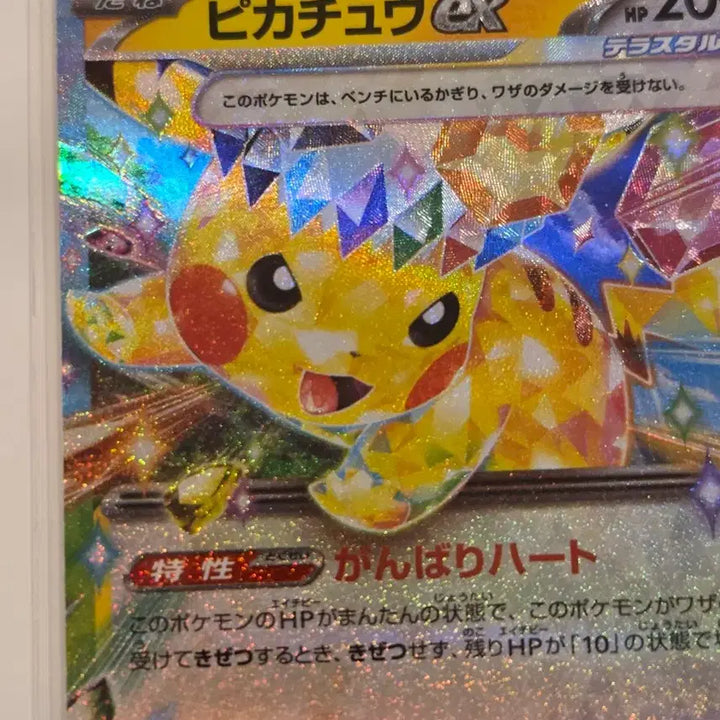 [BUNJANG] Pokemon Card Terra-type Pikachu ex RR 044/193 (sv8a / M2a) / "포켓통통"[일판/일본판] 포켓몬 카드 테라스탈 피카츄 ex RR 044/193 (sv8a / M2a)