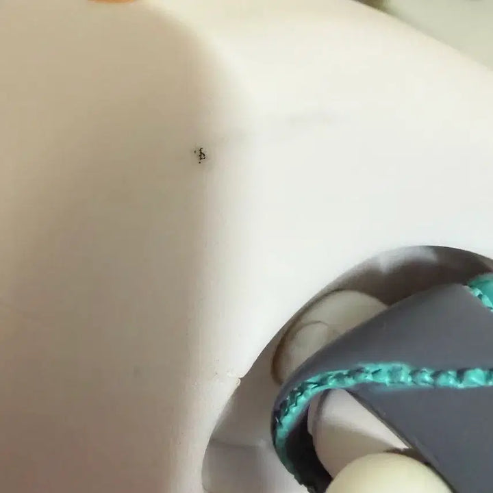 [BUNJANG] Dokodemo Issyo Toro/Kuro Hatsune Miku Ver. Bundle Set Figures / 도코데모잇쇼 토로/쿠로 하츠네 미쿠ver 일괄 판매