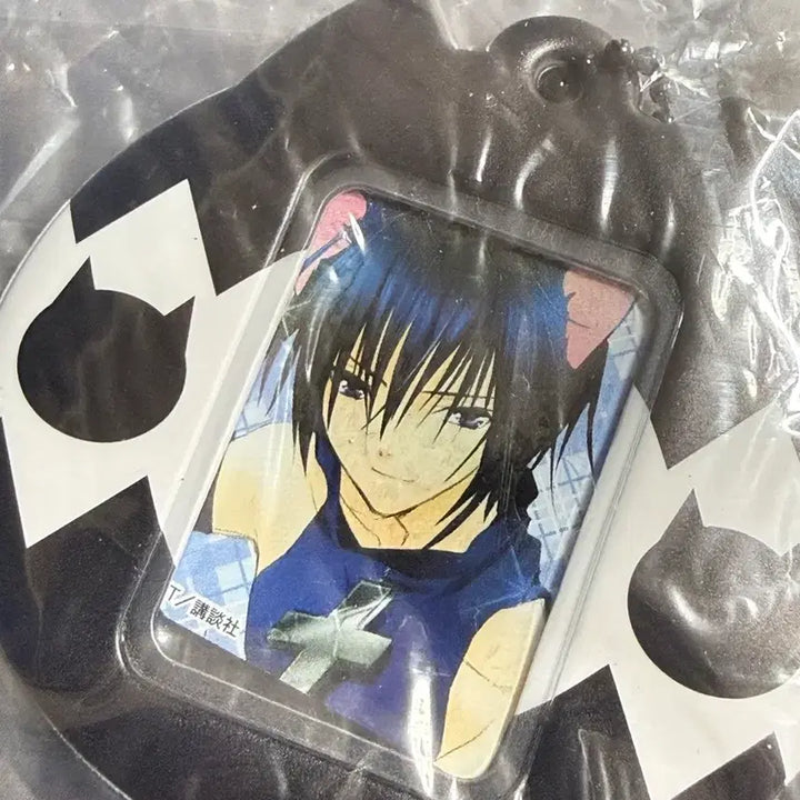 [BUNJANG] Character Card Capture Change (Kaikaseiki) Character Card Holder (Unsealed) / 캐릭캐릭체인지 캐캐체 증사 홀더