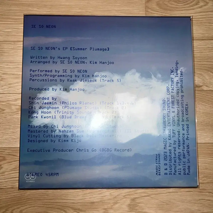 [BUNJANG] Sae Sunes 1st Album "Yumgeot" LP (Sealed) / [미개봉] 새소년 1집 여름깃 lp