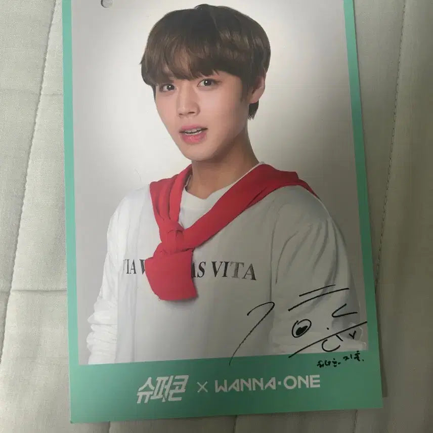 [BUNJANG] Park Jihoon Super Concert Postcard Set / 박지훈 슈퍼콘 엽서 4종 일괄
