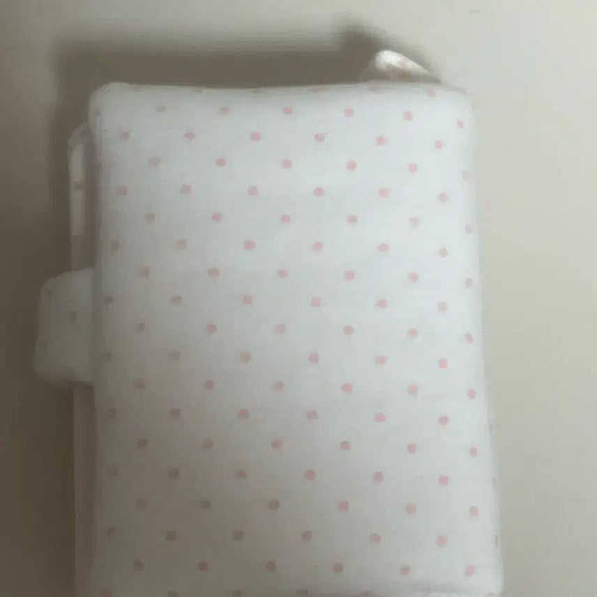 [BUNJANG] Dot Photocard Binder / 밍님 포카바인더 양도합니다!